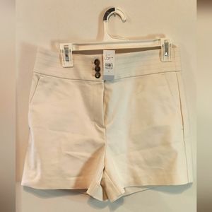NWT Loft high waisted shorts